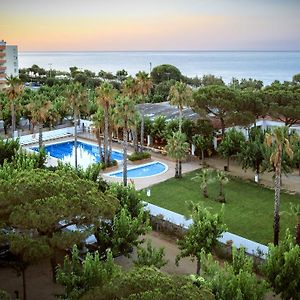 Camping Bellsol